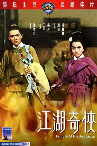 Okładka filmu 江湖奇俠
