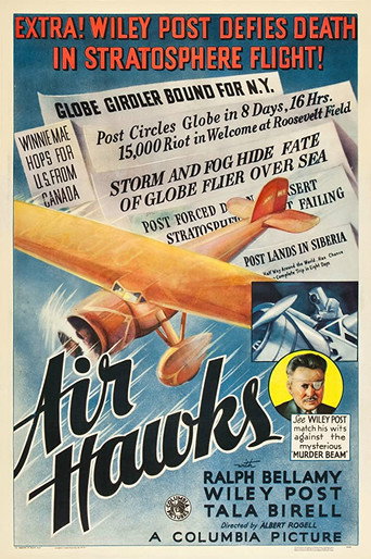 Air Hawks 在线观看和下载完整电影