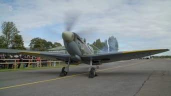 Spitfire