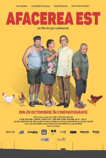 Okładka filmu Afacerea Est
