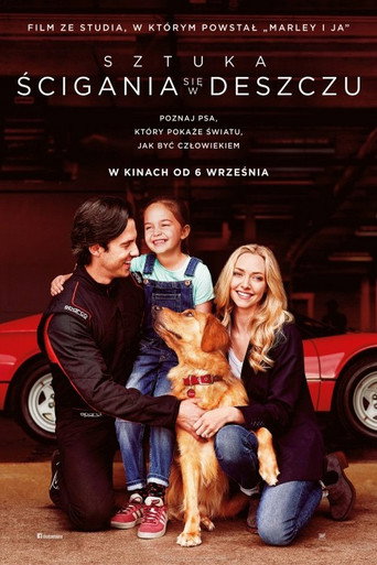 Okładka filmu Sztuka ścigania się w deszczu