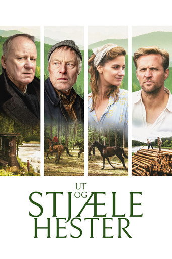 Okładka filmu Ut og stjæle hester