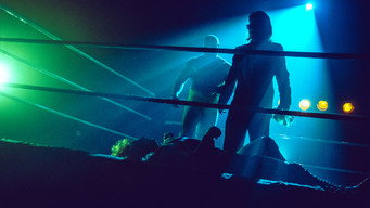 Ultimate Fantasy: The Fall of Renegade