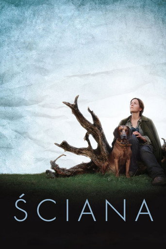 Okładka filmu Ściana