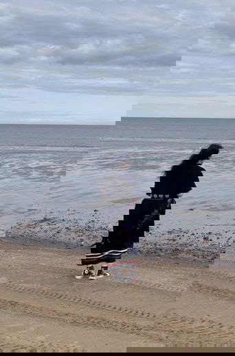 Le voleur de paix