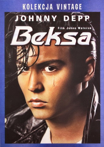 Okładka filmu Beksa