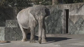 Tokyo in the middle of winter, the name is ”Hanako“