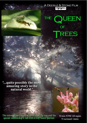 The Queen of Trees 在线观看和下载完整电影