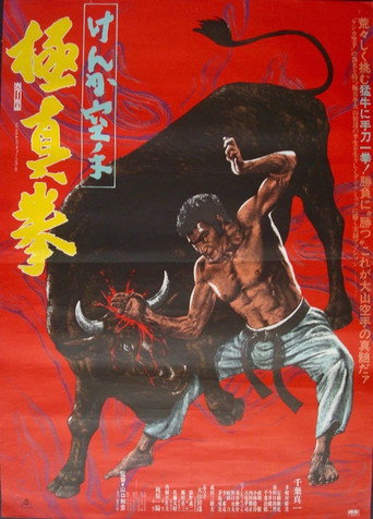 Okładka filmu Karate Bullfighter