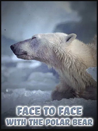 Face to Face with the Polar Bear 在线观看和下载完整电影