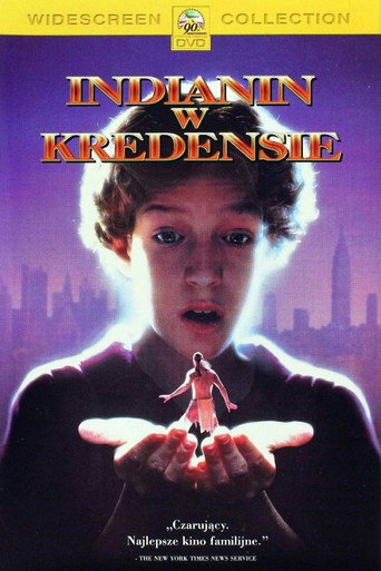 Okładka filmu Indianin w kredensie