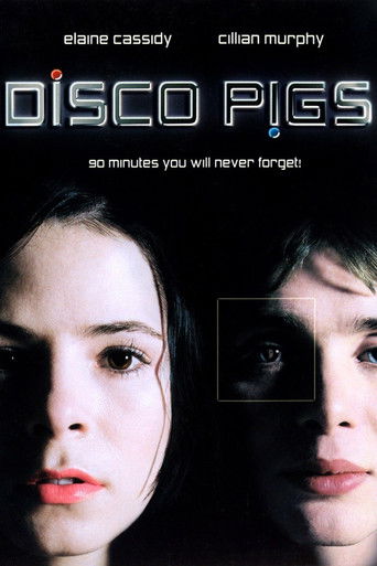 Disco Pigs filme online subtitrate romana