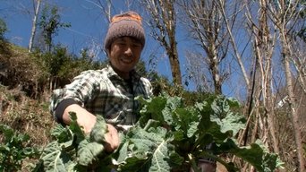 Turkey Part 2 - Cuisine at a Mountain Village