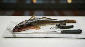 Skills Challenge: Fish Butchery
