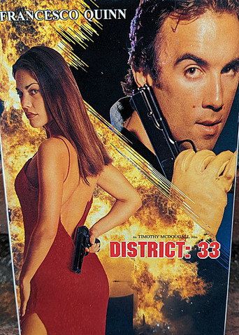 District:33 在线观看和下载完整电影
