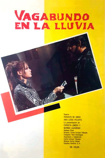 Vagabundo en la lluvia 在线观看和下载完整电影