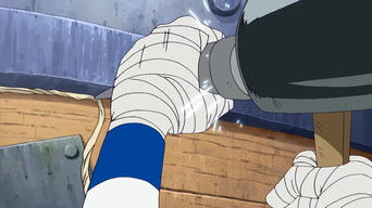 Capture Robin! The Determination of the Straw Hats!