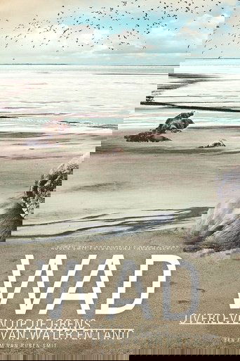 The Wadden Sea