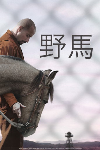 The Mustang 在线观看和下载完整电影