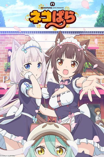 Okładka serialu Nekopara