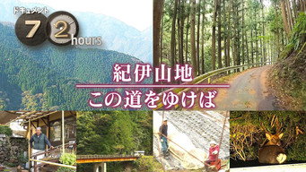 A Winding Road Through the Kii Mountains