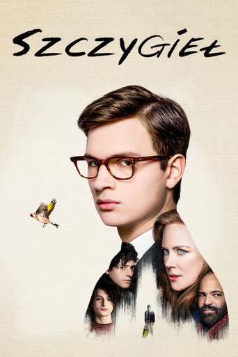 Okładka filmu Szczygieł