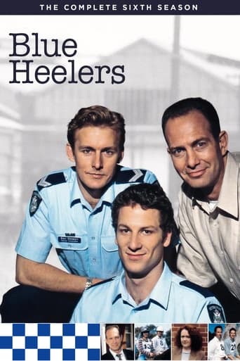 Blue Heelers