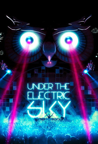 Under the Electric Sky 在线观看和下载完整电影