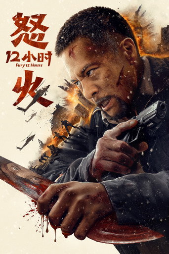 Okładka filmu 怒火十二小时