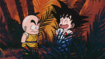 Find That Stone!