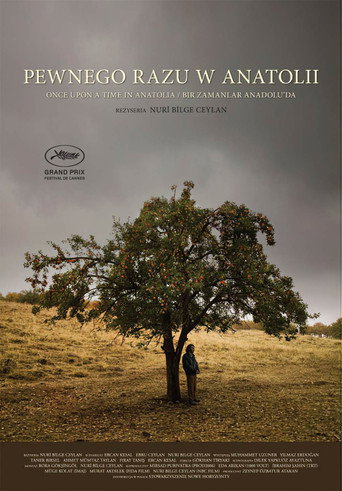 Okładka filmu Pewnego razu w Anatolii
