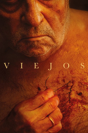 Okładka filmu Viejos