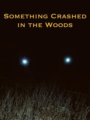 Movie Something Crashed in the Woods Poster Images, BackDrops Images, Logo Images posters 1 /gBx2btGb0KHfih9lAHiFRUUfLVm.jpg