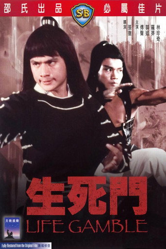 生死鬥 在线观看和下载完整电影