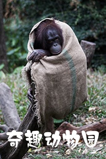 奇趣动物园