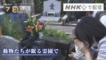 At the Pet Cemetery Where Animals Rest in Peace