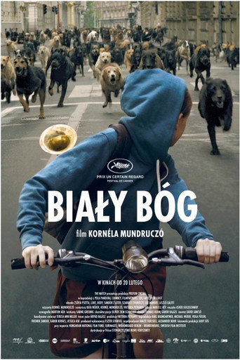 Okładka filmu Biały Bóg