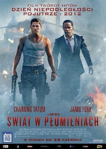 Okładka filmu Świat w płomieniach