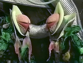 The Trial of a Time Lord: Part 11