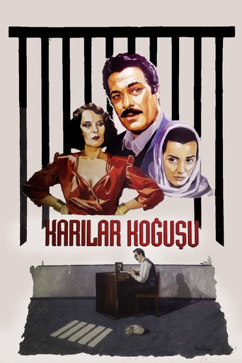 Okładka filmu Karılar Koğuşu