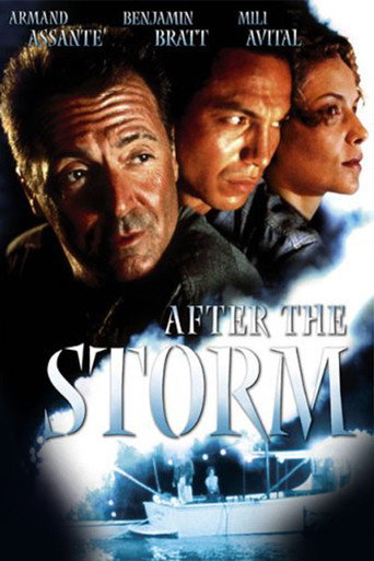 After the Storm 在线观看和下载完整电影