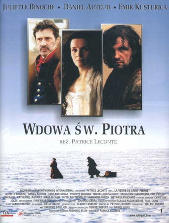 Okładka filmu Wdowa św. Piotra