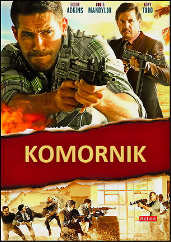 Okładka filmu Komornik