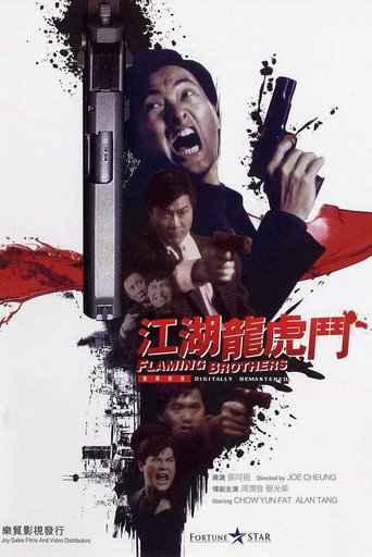 江湖龙虎斗 在线观看和下载完整电影