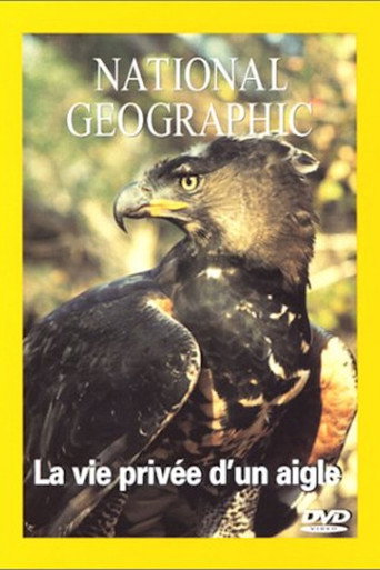 National Geographic La vie d'un aigle 在线观看和下载完整电影