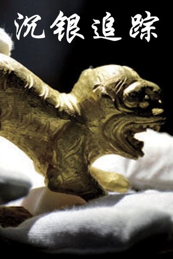 沉银追踪