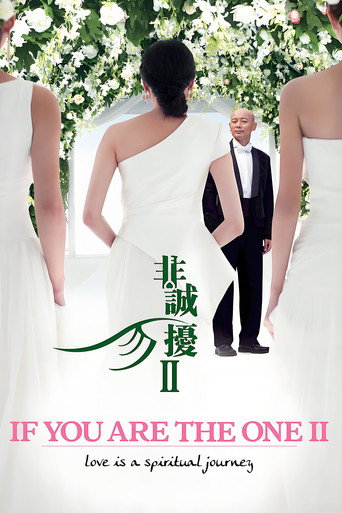 Okładka filmu 非诚勿扰2