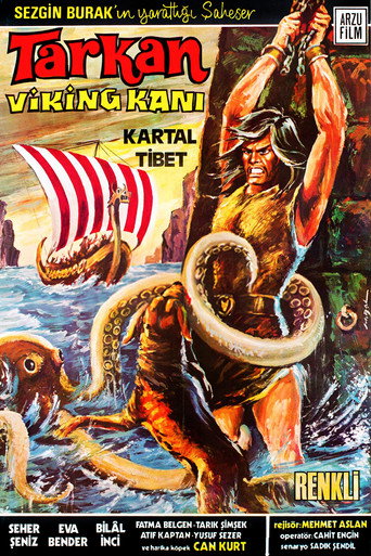 Okładka filmu Tarkan: Viking Kanı