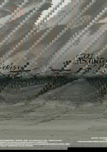 México bárbaro 2010