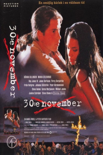 30:e november 在线观看和下载完整电影